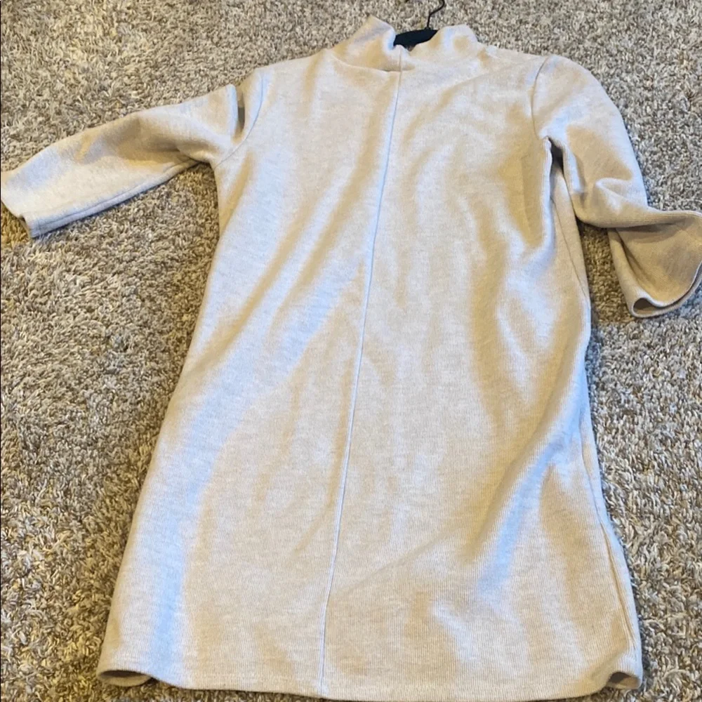 Zara OatmealMock Neck Sweater Dress - Picture 3 of 5